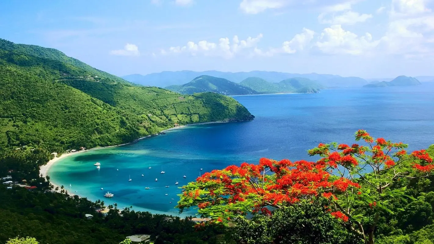 高效自动化稳定性